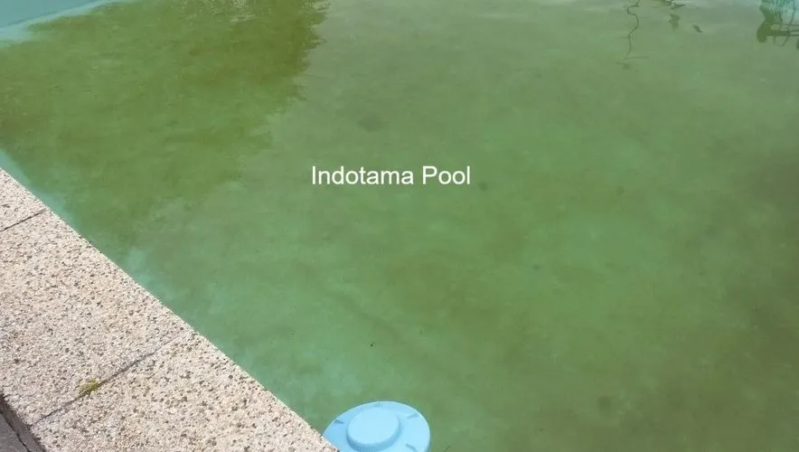 air kolam renang berwarna hijau