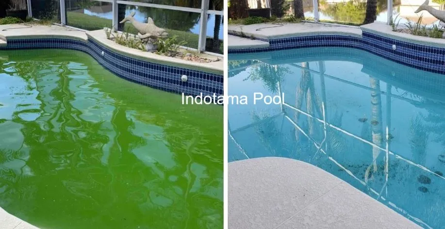 Cara Efektif Menjernihkan Air Kolam Renang Berwarna Hijau mengatasi kolam renang berwarna hijau