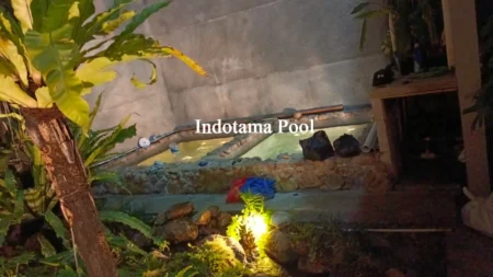 Inspirasi Desain Plunge Pool Modern dan Estetik untuk Rumah Minimalis